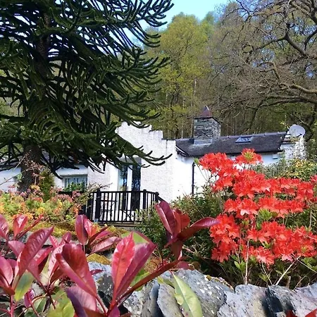Dove Cot Country Holiday home